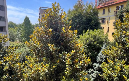 Luminoso ed ampio bilocale con splendidi affacci su giardino interno