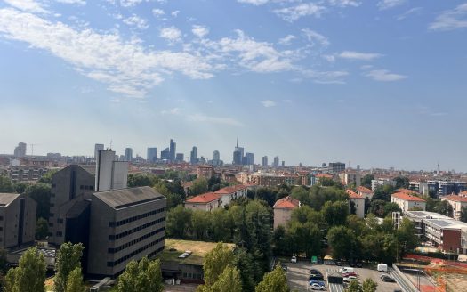 Panoramico attico di 4 locali con terrazzo al piano