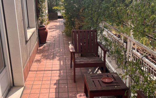 Panoramico attico di 4 locali con terrazzo al piano